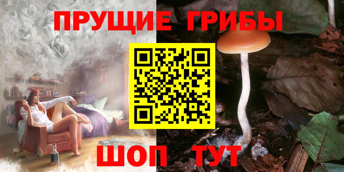 Псилоцибиновые грибы ЛСД  Галлюциногенные грибы Psilocybe  Вход с VPN  Каспийск 