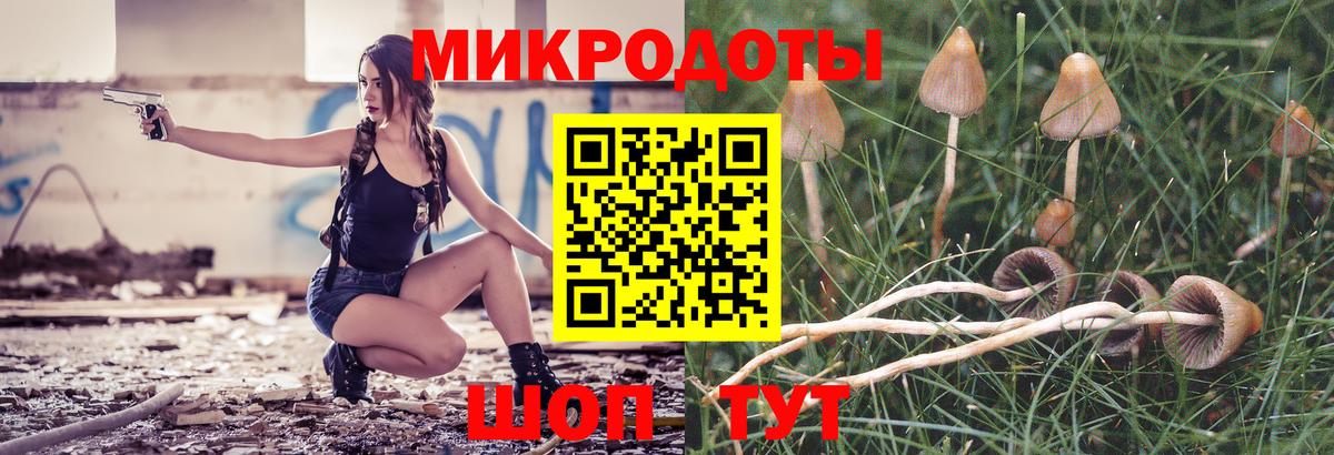 Галлюциногенные грибы Magic Shrooms Каспийск